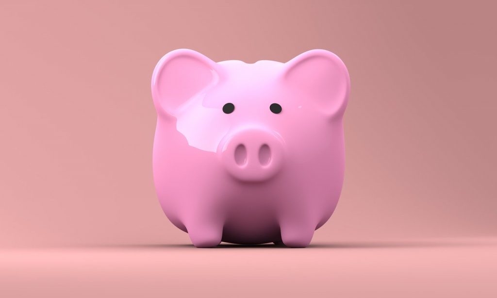 pink pig money box