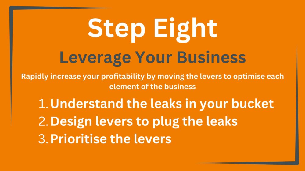 Step Eight in more detail. Leverage your business, with 3 bullet points.